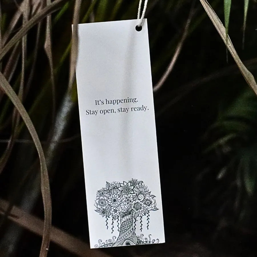 Mini Manifestation Kit