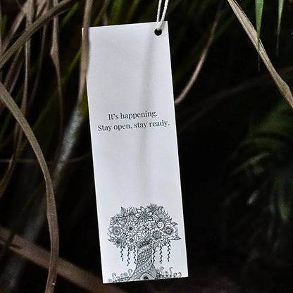 Mini Manifestation Kit