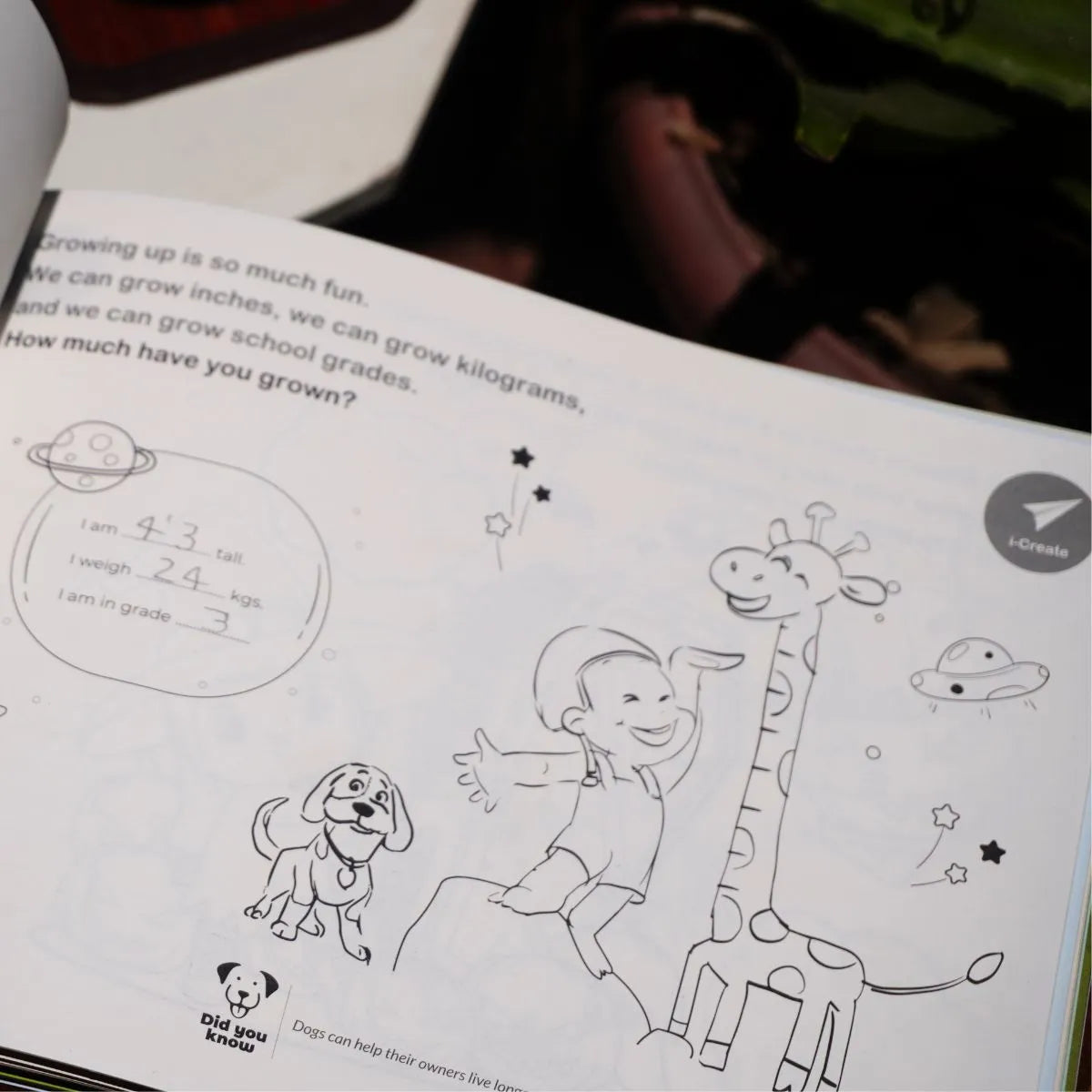 Bilbo & Me - A journal for kids